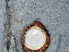 \\\\\\\"Anpassung\\\\\\\" / Bewerbungsmappe © Annika Pesch