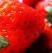 Bei der Makrofotografie gibt es keine Grenzen: Detailaufnahme einer Erdbeere © Flirckr/Detail einer Blüte © Flickr/*L*u*z*a*